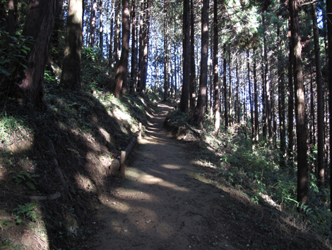20151127hike (52)